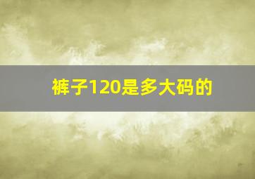 裤子120是多大码的