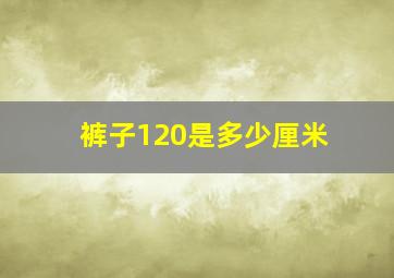 裤子120是多少厘米