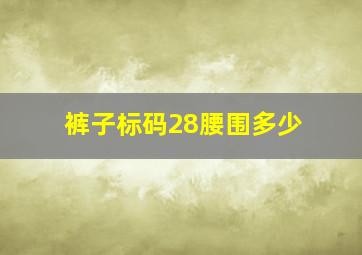 裤子标码28腰围多少