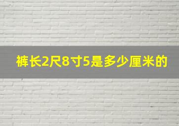 裤长2尺8寸5是多少厘米的