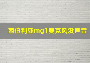 西伯利亚mg1麦克风没声音