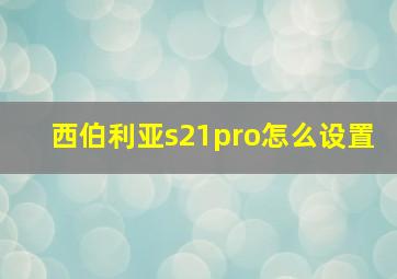 西伯利亚s21pro怎么设置