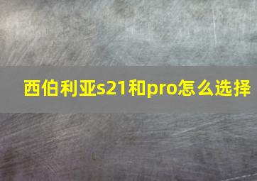 西伯利亚s21和pro怎么选择