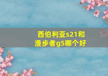 西伯利亚s21和漫步者g5哪个好