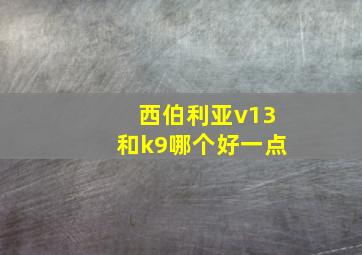 西伯利亚v13和k9哪个好一点