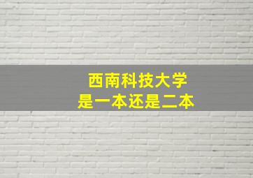 西南科技大学是一本还是二本