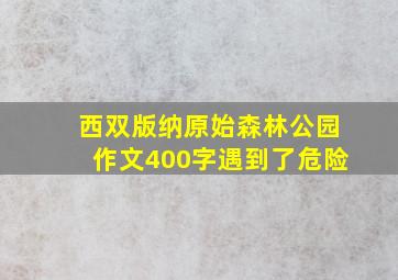 西双版纳原始森林公园作文400字遇到了危险