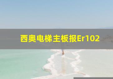 西奥电梯主板报Er102