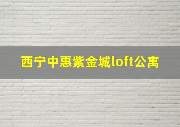 西宁中惠紫金城loft公寓