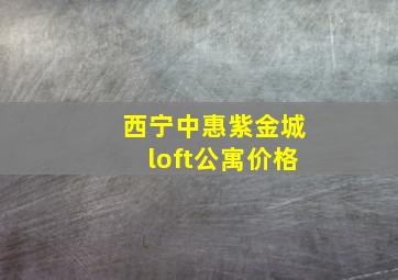 西宁中惠紫金城loft公寓价格