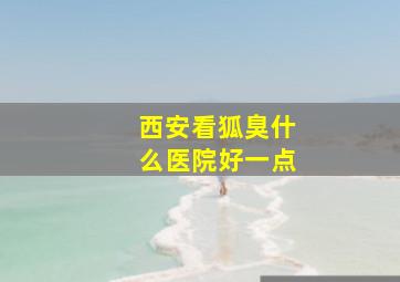 西安看狐臭什么医院好一点