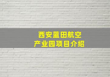 西安蓝田航空产业园项目介绍