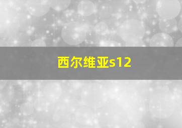 西尔维亚s12