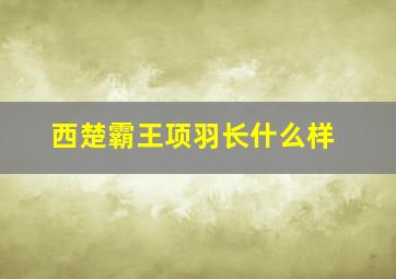 西楚霸王项羽长什么样