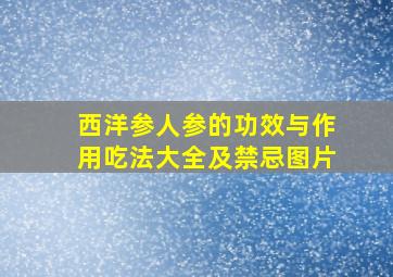 西洋参人参的功效与作用吃法大全及禁忌图片