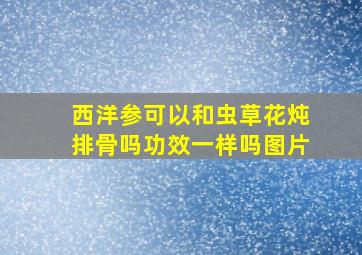 西洋参可以和虫草花炖排骨吗功效一样吗图片