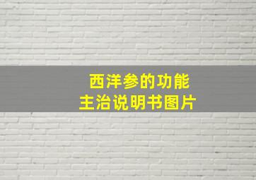 西洋参的功能主治说明书图片