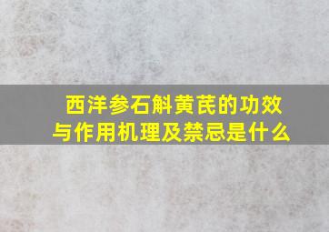 西洋参石斛黄芪的功效与作用机理及禁忌是什么