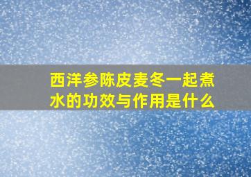 西洋参陈皮麦冬一起煮水的功效与作用是什么