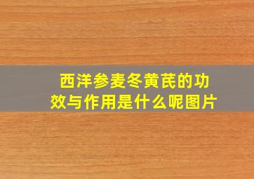 西洋参麦冬黄芪的功效与作用是什么呢图片