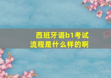 西班牙语b1考试流程是什么样的啊