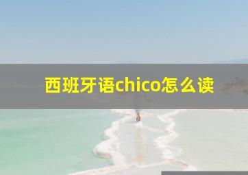 西班牙语chico怎么读