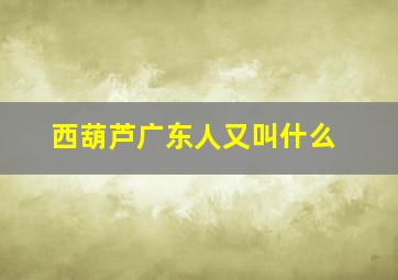 西葫芦广东人又叫什么