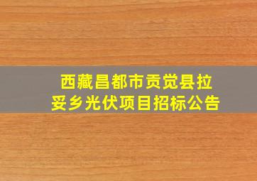 西藏昌都市贡觉县拉妥乡光伏项目招标公告