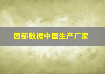 西部数据中国生产厂家