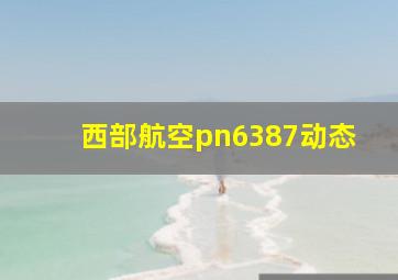 西部航空pn6387动态