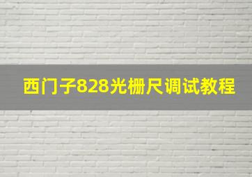 西门子828光栅尺调试教程