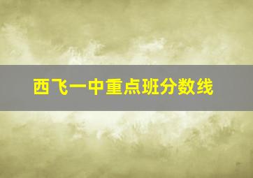 西飞一中重点班分数线