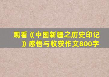 观看《中国新疆之历史印记》感悟与收获作文800字