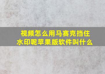 视频怎么用马赛克挡住水印呢苹果版软件叫什么