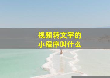 视频转文字的小程序叫什么