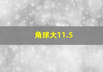 角球大11.5