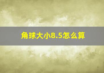 角球大小8.5怎么算