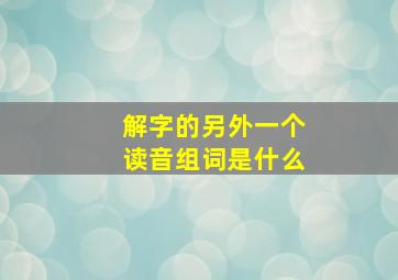 解字的另外一个读音组词是什么