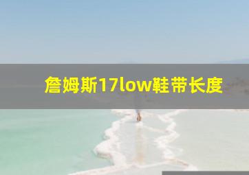 詹姆斯17low鞋带长度