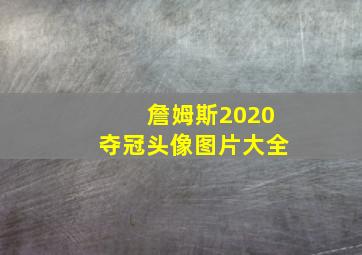 詹姆斯2020夺冠头像图片大全