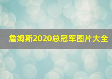 詹姆斯2020总冠军图片大全