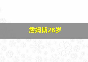 詹姆斯28岁