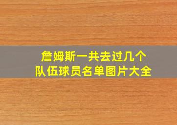 詹姆斯一共去过几个队伍球员名单图片大全