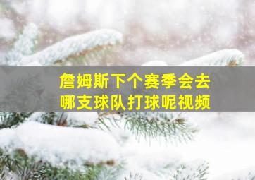 詹姆斯下个赛季会去哪支球队打球呢视频