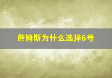 詹姆斯为什么选择6号