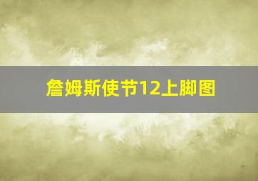 詹姆斯使节12上脚图