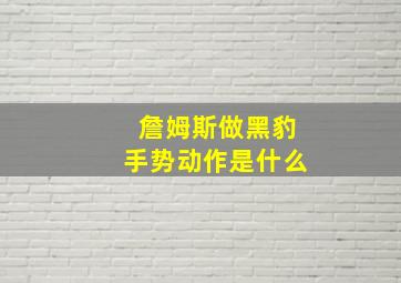 詹姆斯做黑豹手势动作是什么