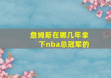 詹姆斯在哪几年拿下nba总冠军的