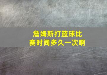 詹姆斯打篮球比赛时间多久一次啊