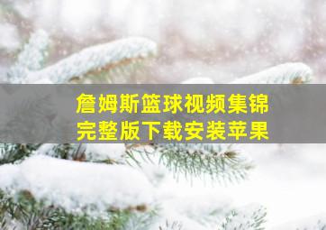 詹姆斯篮球视频集锦完整版下载安装苹果